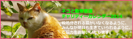 ネコと動物愛護チャリティーカレンダー2014