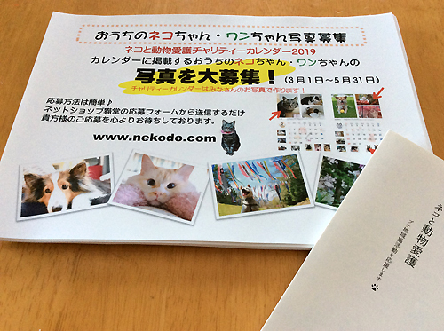 ネコと動物愛護チャリティーカレンダー2019おうちのネコちゃん・ワンちゃん写真募集チラシ