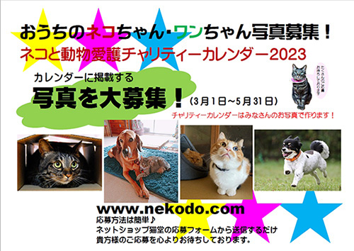 ネコと動物愛護チャリティーカレンダー2023写真募集