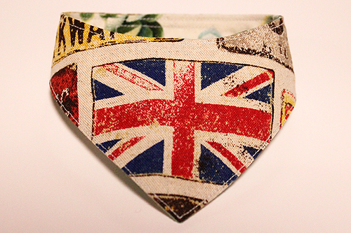 おしゃれ首輪２リバーシブルバンダナ　イギリス国旗×サボテンの花Ｃ-1
