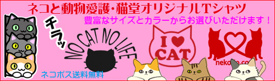 ネコと動物愛護・猫堂オリジナルＴシャツ、発売中！