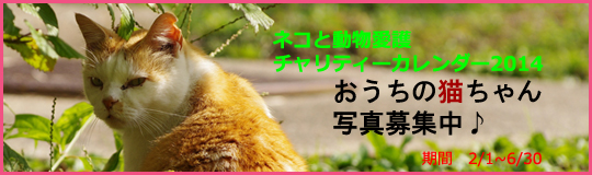 「ネコと動物愛護チャリティーカレンダー2014」おうちの猫ちゃん写真募集