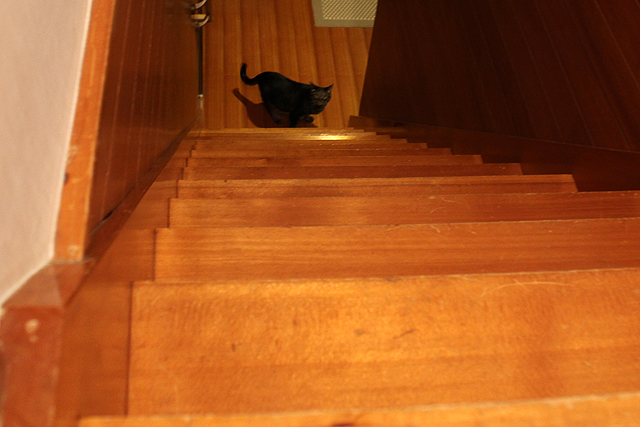 階段の下へ