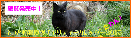 ネコと動物愛護チャリティーカレンダー2015