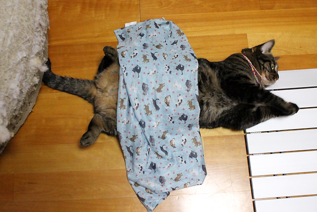 猫に洗濯ネットをかけてみました( ´艸｀)