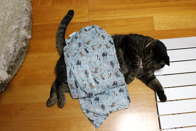 洗濯ネット掛け布団猫