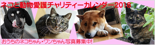 ネコと動物愛護チャリティーカレンダー2018おうちのネコちゃん・ワンちゃん写真募集