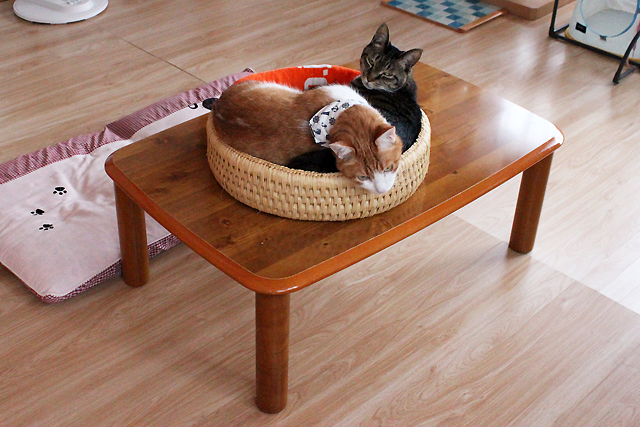 猫つぐら丸型なかよしベッド