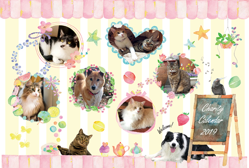 ネコと動物愛護チャリティーカレンダー2019