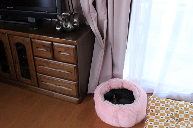 ピンクのふわふわベッド