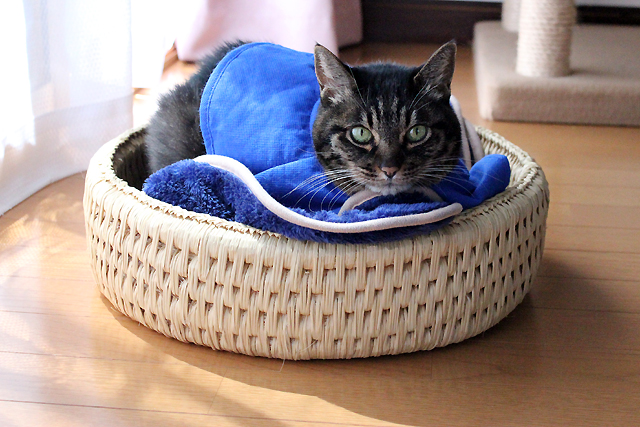 猫つぐら丸型なごみベッド
