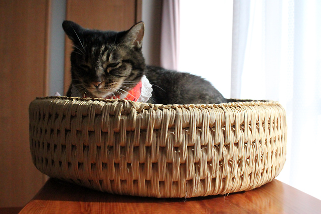 猫つぐら丸形なごみベッド