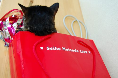Seiko Matsuda 2009