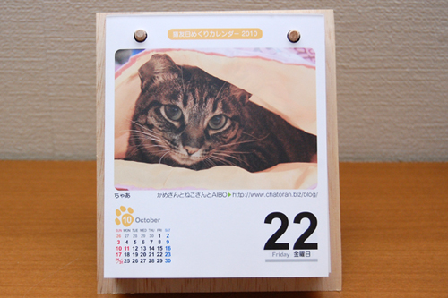 猫友日めくりカレンダー