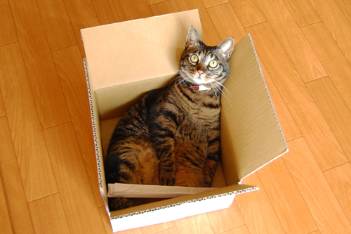 箱、ちょうどいい大きさ♪