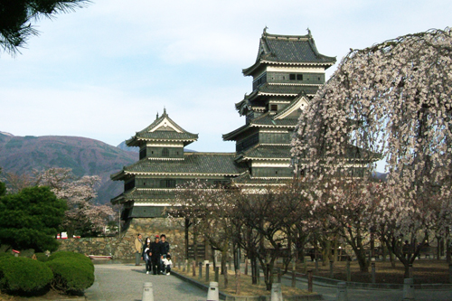 しだれ桜と松本城